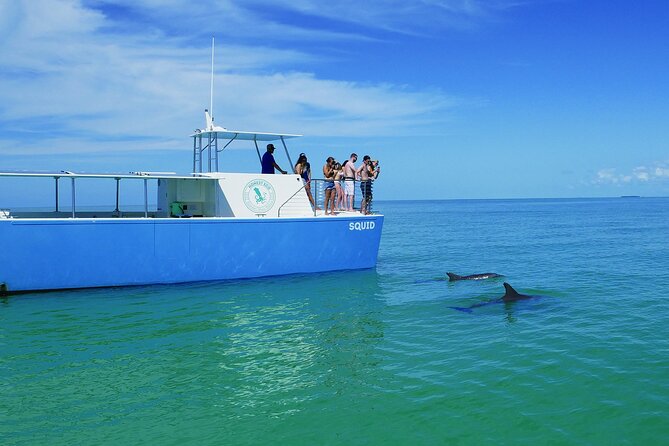 Biologist Owned & Operated: Dolphin Watching & Guided Snorkeling - Accessibility and Inclusivity