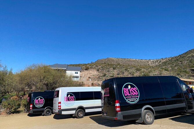 Bliss - Sedona's Most Luxurious Wine Tour - Lunch Included! - Guided Wine Education and Tasting