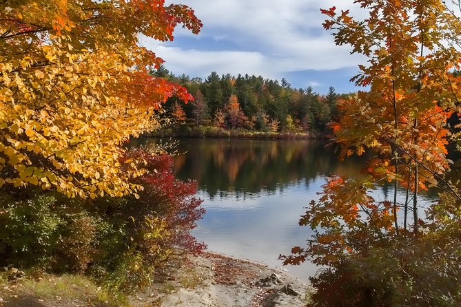 Boston to New Hampshire Fall Foliage White Mountains Day Trip - Pricing and Booking