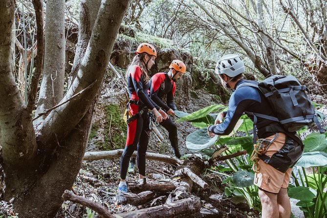 Canyoning With Waterfalls in the Rainforest - Small Groups ツ - Highlights of the Canyoning Adventure
