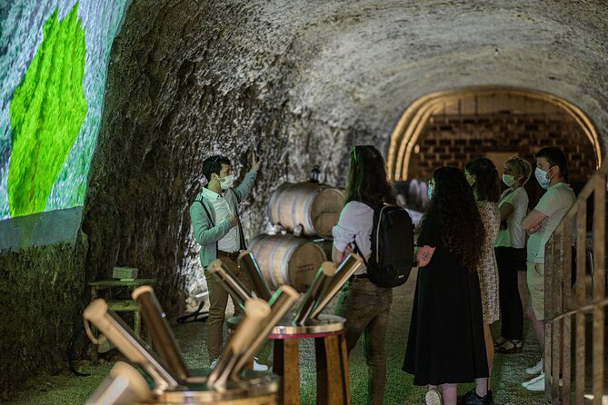 Caves Ambacia, Tour and Wine Tasting in Amboise, Loire Valley - Accessibility and Group Size