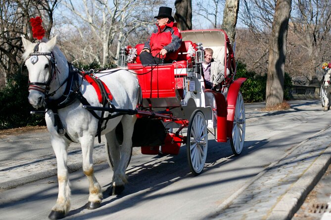 Central Park and NYC Private Horse Carriage Ride - Booking Information and Pricing