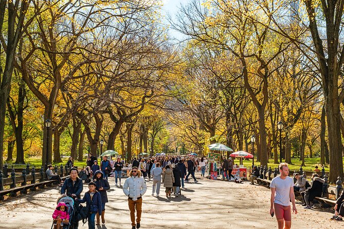 Central Park Private Pedicab Tour (60 Mins) - Negative Experiences