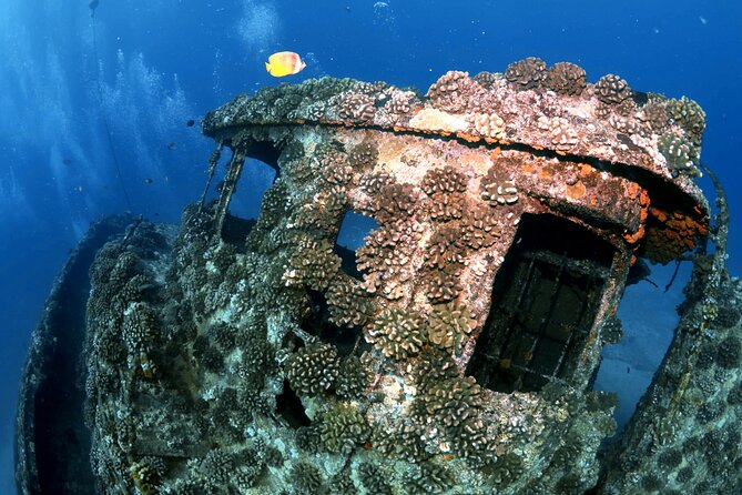 Certified Diver: 2-Tank Deep Wreck and Shallow Reef Dive Off Oahu - Booking and Additional Options