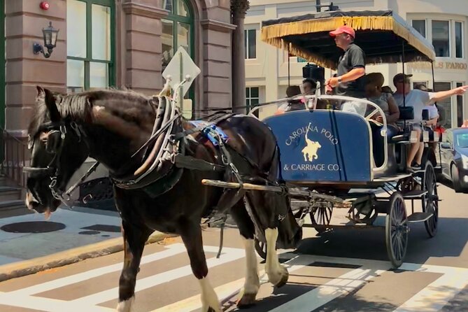 Charleston Horse & Carriage Historic Sightseeing Tour - Practical Information for Booking the Tour