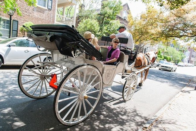 Charleston Private Daytime Horse-Drawn Carriage Tour - Preparing for the Tour
