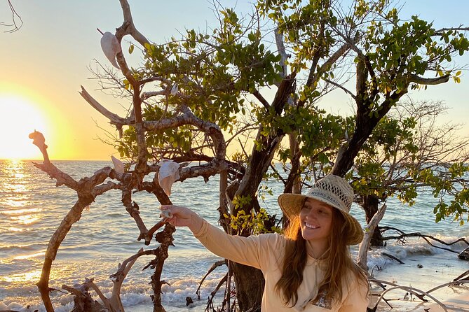 Clear Kayak Guided Eco Tour in North Naples - Pricing and Tour Details