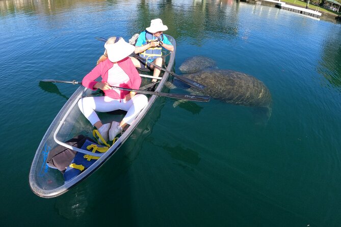 Clear Kayak Manatee Ecotour of Crystal River - Planning Your Visit