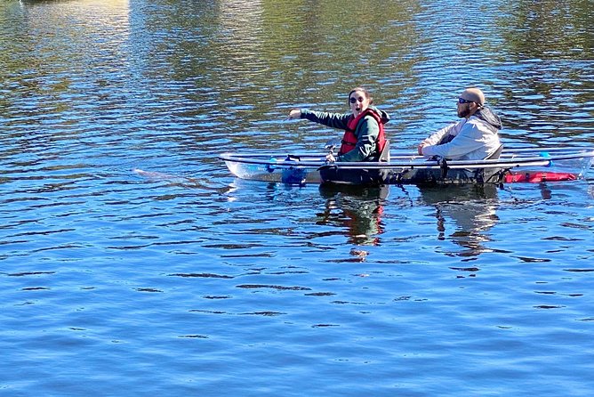 Clear Kayak Tour of Tarpon Springs | Manatee Season - Wildlife Sightings and Expectations