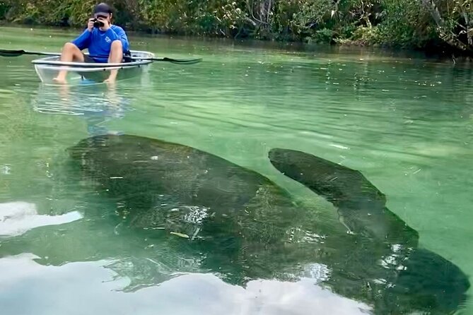 Clear Kayak Tours in Weeki Wachee - The Role of Knowledgeable Guides