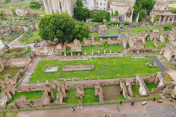 Colosseum & Ancient Rome Guided Walking Tour - Discovering the Roman Forum