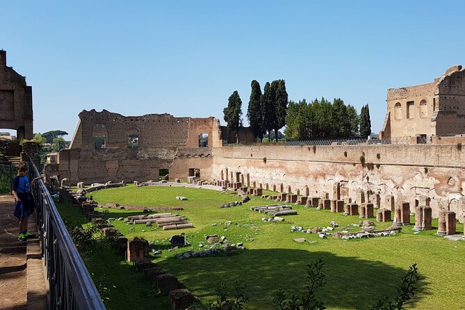 Colosseum Arena Floor Roman Forum and Palatine Hill Small Group - Traveler Feedback and Experiences