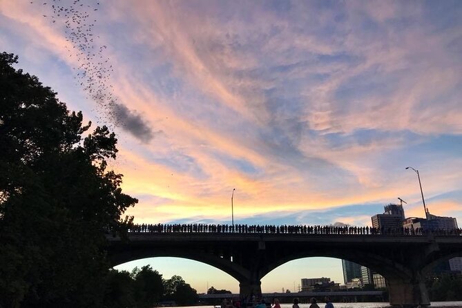 Congress Avenue Bat Bridge Kayak Tour in Austin - Why This Tour Is Highly Recommended
