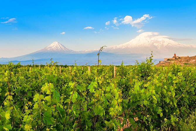Day Trip Totatev: Tatev Monastery, Shaki Waterfall, Wine Tasting - Traveler Reviews and Feedback