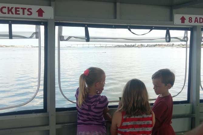 Dolphin and Wildlife Adventure of St. Augustine - Visitor Reviews and Testimonials