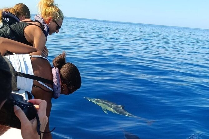 Dolphin Watching + 2 Islands Tour - From Faro - Customer Service and Booking Policies