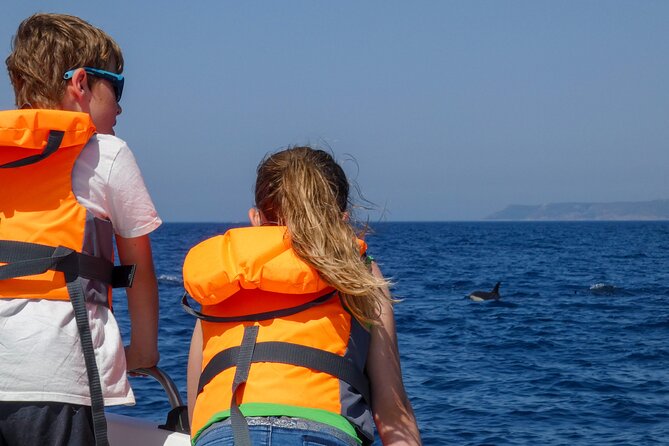Dolphin Watching With Biologist in Arrábida Natural Park - Customer Experiences and Feedback