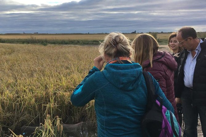 Donana National Park and El Rocío: Guided Tour From Seville - Customer Experiences and Feedback