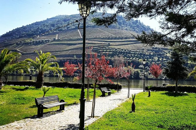 Douro Valley and Amarante Small Group Wine Tour From Porto - Discovering Amarante