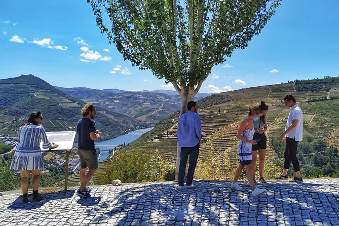 Douro Valley Prime Tour: Wine Tastings, Boat and Lunch From Porto - Cultural Immersion
