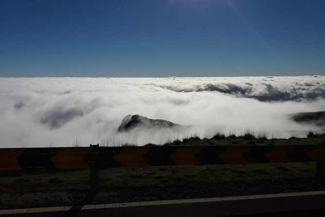 East of Madeira Great Guide Great Tour. LETS DO IT. - Booking and Inquiries