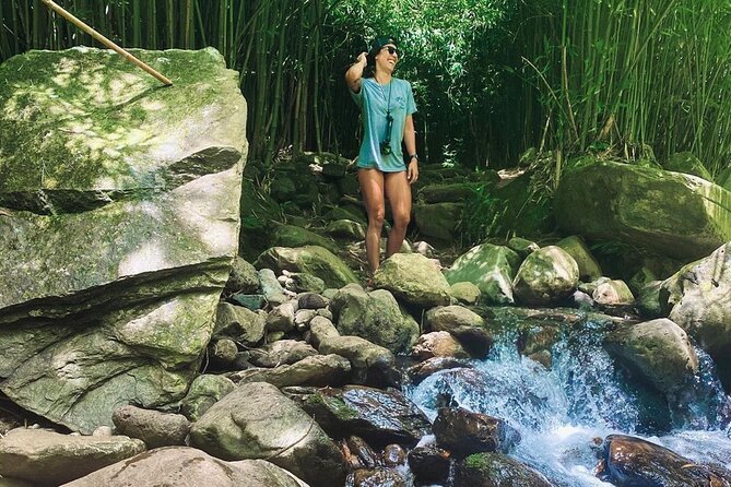 Epic Waterfall Adventure, the Best of Maui - Opportunities to Experience Local Flora and Fauna