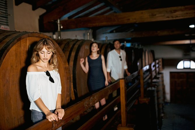 Etna Countryside Food & Wine Lovers Tour (Small Group or Private) - Culinary Delights of the Etna Region