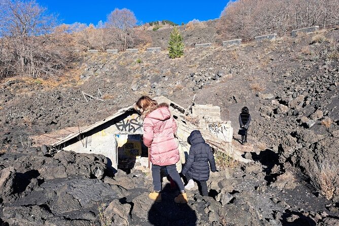 Etna Family Tour Excursion for Families With Children on Etna - Traveler Reviews and Testimonials