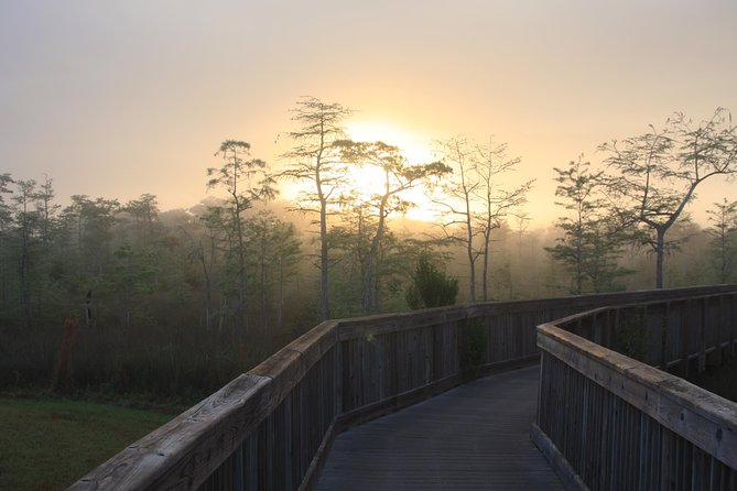 Everglades Day Safari From Fort Myers/Naples Area - Cruising Through Everglades Mangrove Forests