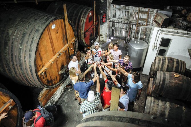Exclusive Douro Valley: Visit 3 Wineries, 9 Wine Tastings & Lunch - Positive Guest Feedback