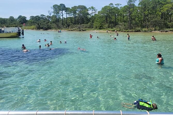 Family Friendly Snorkeling and Dolphin Tour - Constructive Feedback