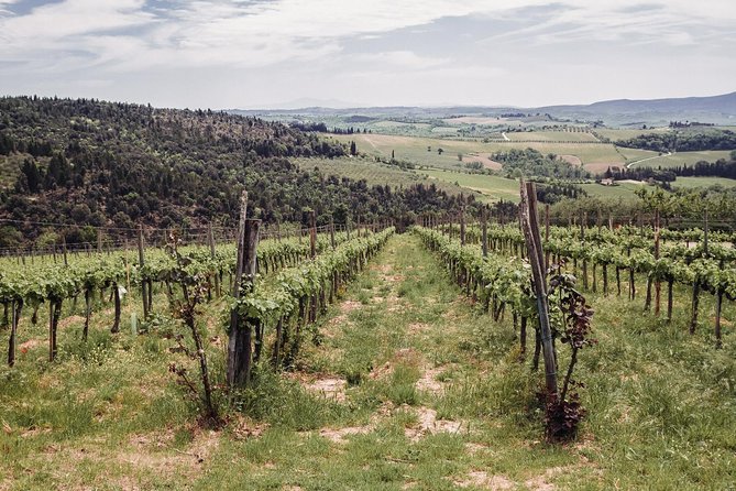 Florence to Tuscany: Chianti, Siena, San Gimignano & Wine + Lunch - Discovering the Hilltop Village of San Gimignano