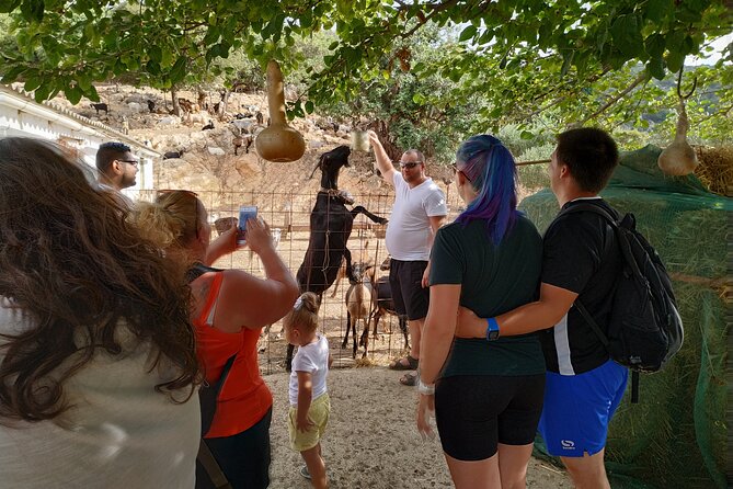 Full-Day Jeep Safari Tour With Cooking Lesson - Variety of Activities and Insights