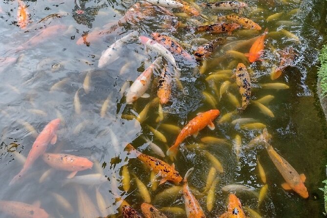 Full Day Oahu Tour With Byodo Temple & Waimea Waterfalls - Itinerary and Locations Visited