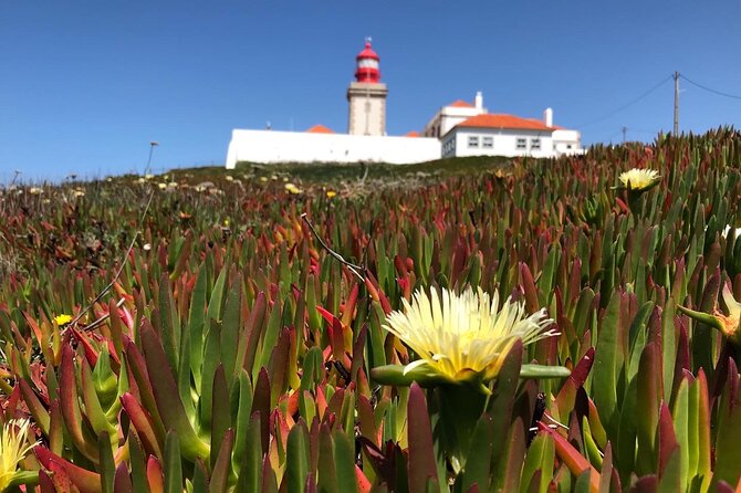 Full Day Tour: Sintra, Pena Palace, Cabo Da Roca, Cascais - Tour Guide Reviews and Feedback