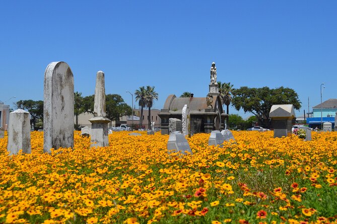 Galvestons Haunted Cemetery Walking Tour - Meeting the Needs of Travelers