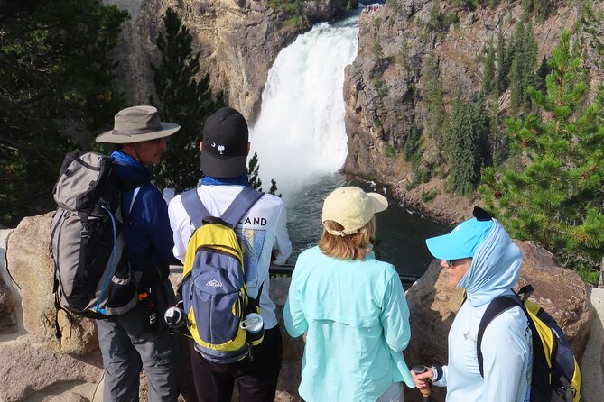 Grand Canyon of the Yellowstone Rim and Loop Hike With Lunch - Customer Testimonials and Feedback