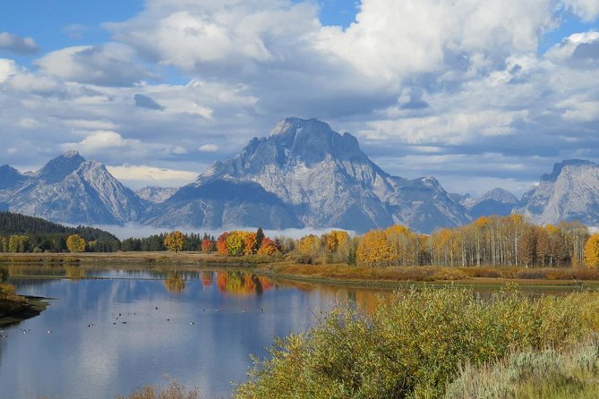 Grand Teton National Park - Sunset Guided Tour From Jackson Hole - Discovering the Wildlife Wonders of the Park