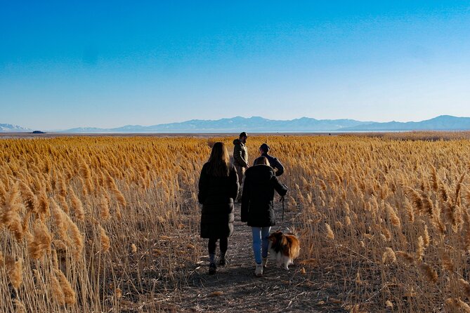 Great Salt Lake Wildlife and Sunset Experience - Planning Your Visit