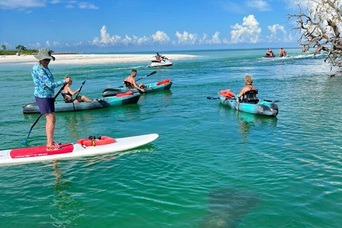Guided Island EcoTour: CLEAR/Standard Kayak, SUP - Bonita Springs - Exploring the Mangroves