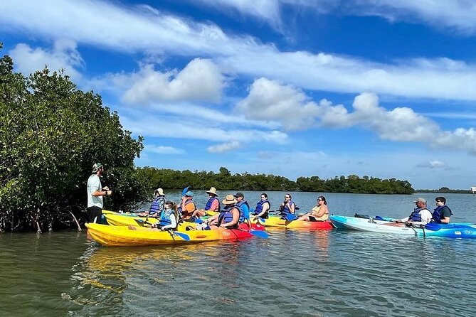 Guided Kayak Mangrove Ecotour in Rookery Bay Reserve, Naples - Group Considerations
