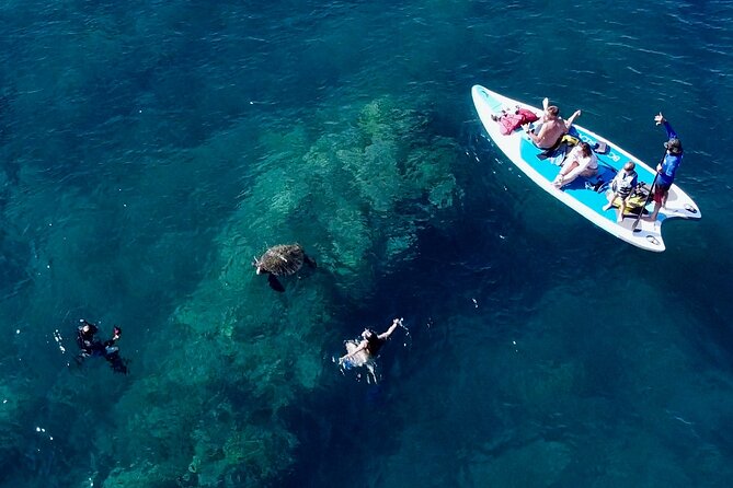 Guided Snorkeling Tour for Non-Swimmers Wailea Beach - Memorable Experience for All Levels