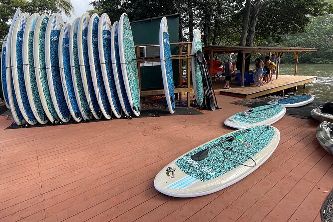 Haleiwa River Paddle Board Rental With Blue Planet Adventure Co. - Tips for a Successful Paddling Adventure