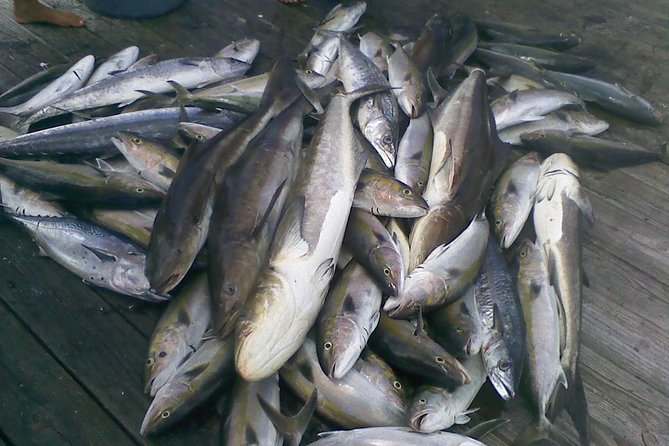 Half-Day Deep-Sea Fishing at Riviera Beach - Transportation Options
