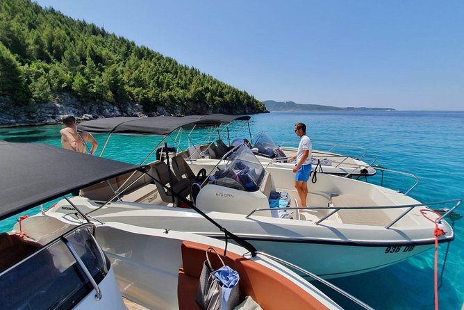 Half-Day Elafiti Islands Private Speed Boat Tour by Quicksilver 675 - Customer Feedback and Ratings