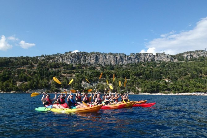 Half-Day Split Sea Kayak Adventure - Customer Testimonials and Experiences