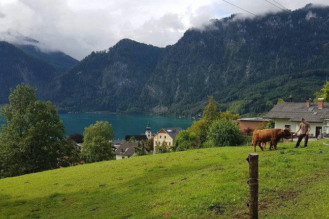 Hallstatt Small-Group Day Trip From Vienna - Booking and Cancellation Policy