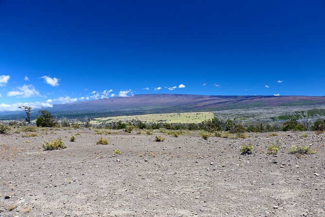 Hawaii Volcanoes National Park and Hilo Highlights Small Group Tour - Customer Testimonials