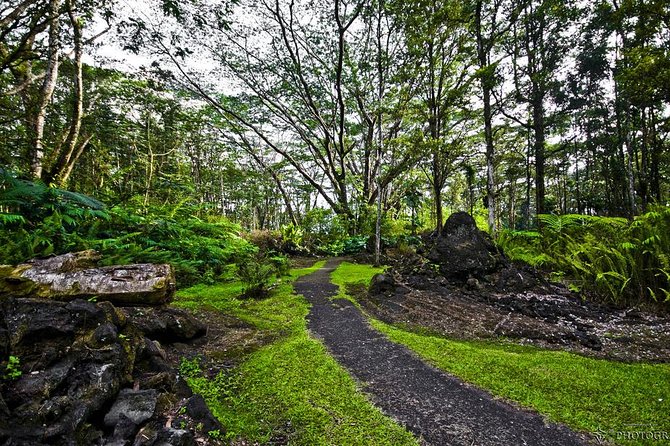 Hilo Shore Excursion: Safari Lava Caves, Falls and Highlights - Tour Requirements and Recommendations