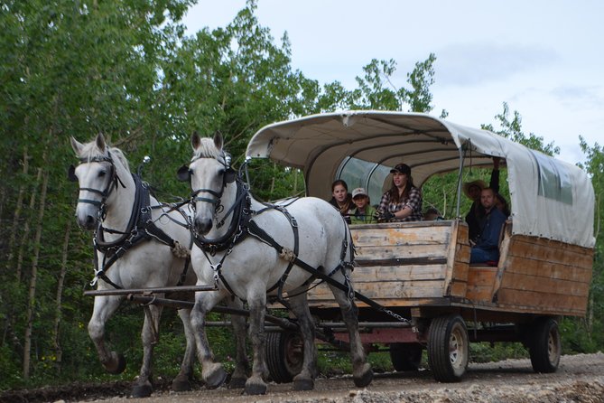 Horse-Drawn Covered Wagon Ride With Backcountry Dining - Preparing for Your Adventure